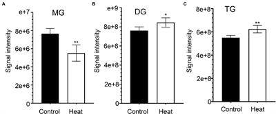 Lipidomic Remodeling in Begonia grandis Under Heat Stress